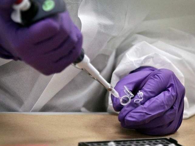 DNA technology helps identify New Brunswick woman decades after death