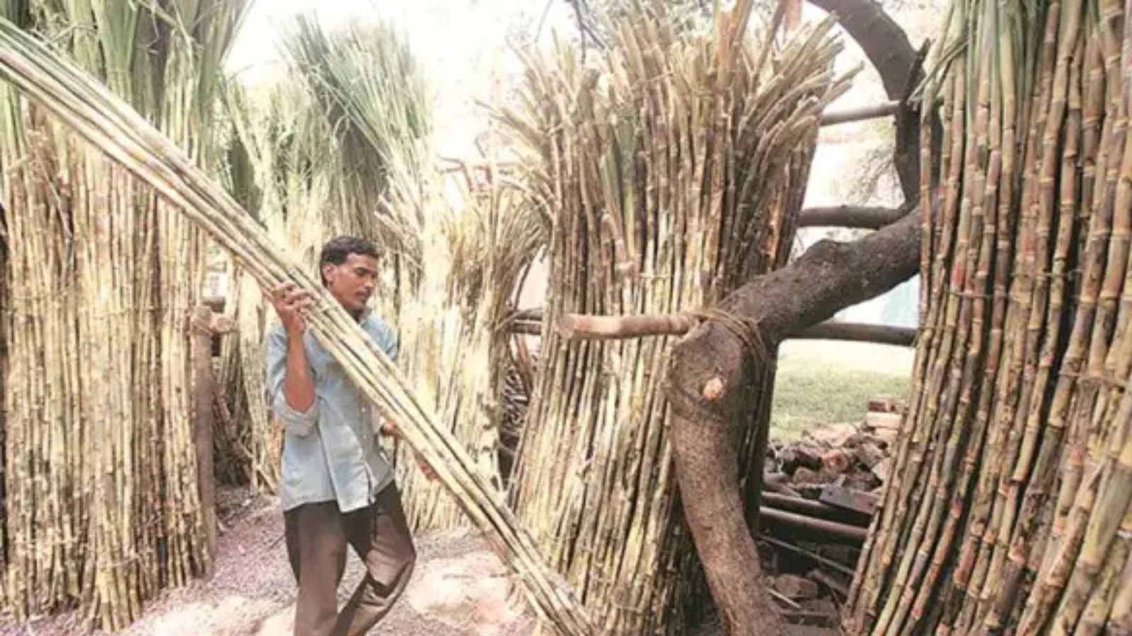 Farmer panel ends BJP’s 20-year control of Gujarat’s largest co-op sugar factory