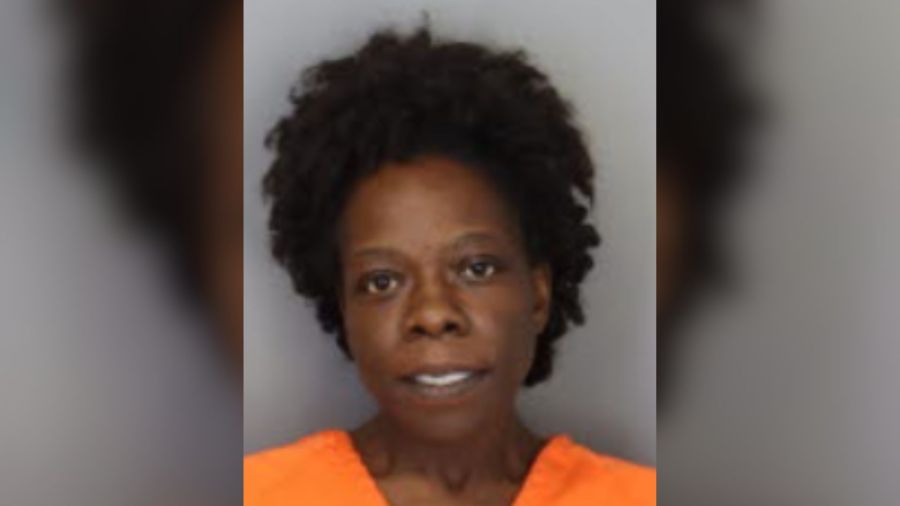 Woman turns herself in after stabbing her mother to death: MPD