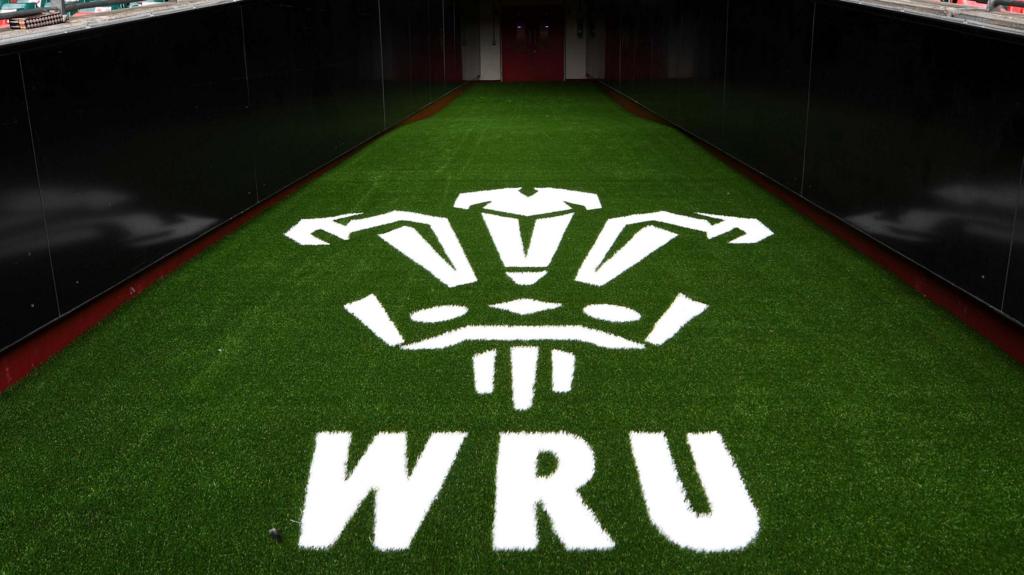 Wales sports minister meets with WRU after fans fears