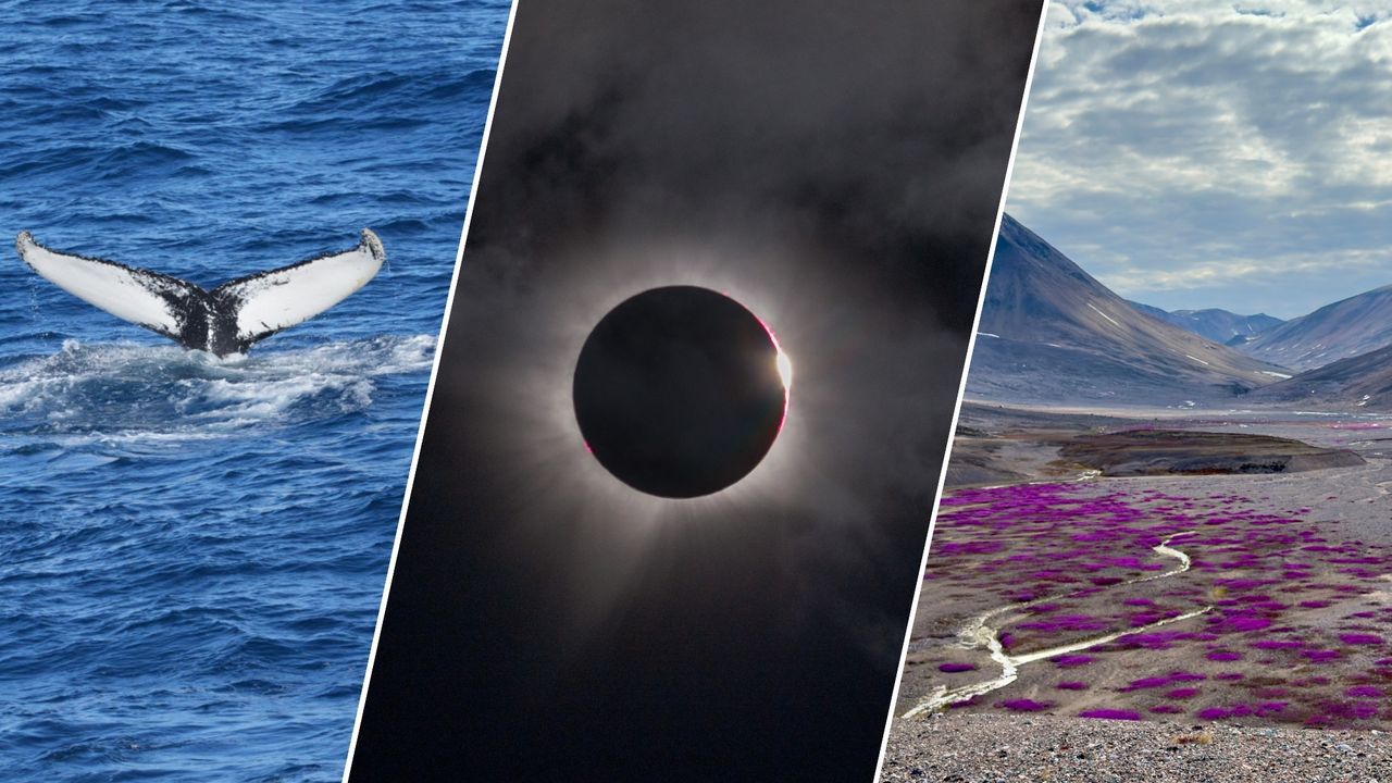 I sailed to Greenland for a total solar eclipse — what I saw left me speechless