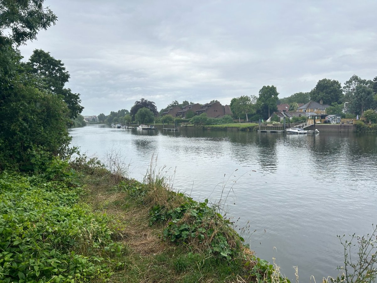 Swimmers warned to avoid London's first official Thames bathing spot over toxic algae
