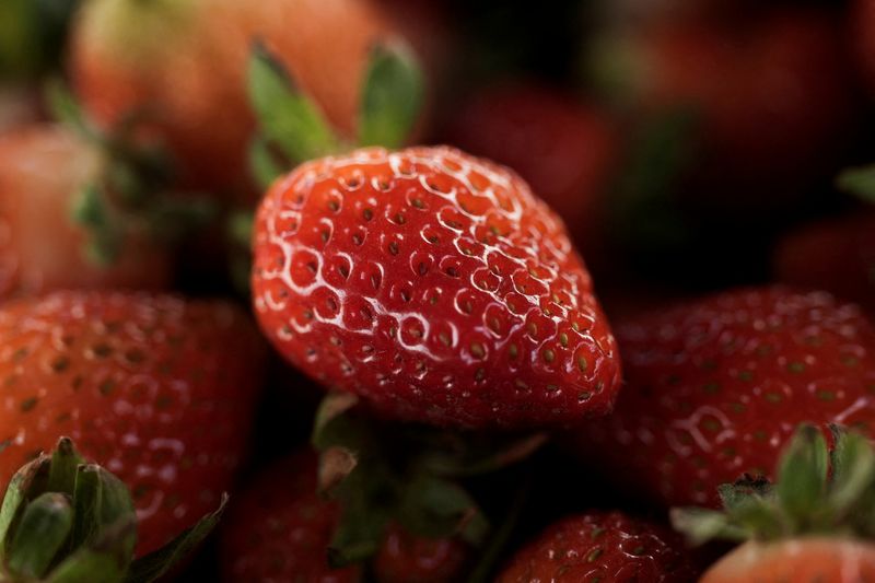 Mexico pushes back on US ruling on strawberry dumping