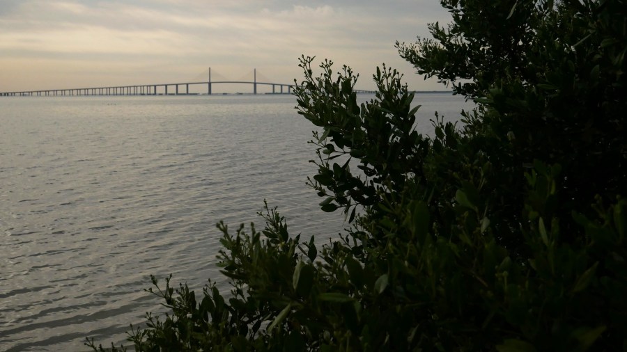 Man dies after being rescued from water at Fort De Soto Park