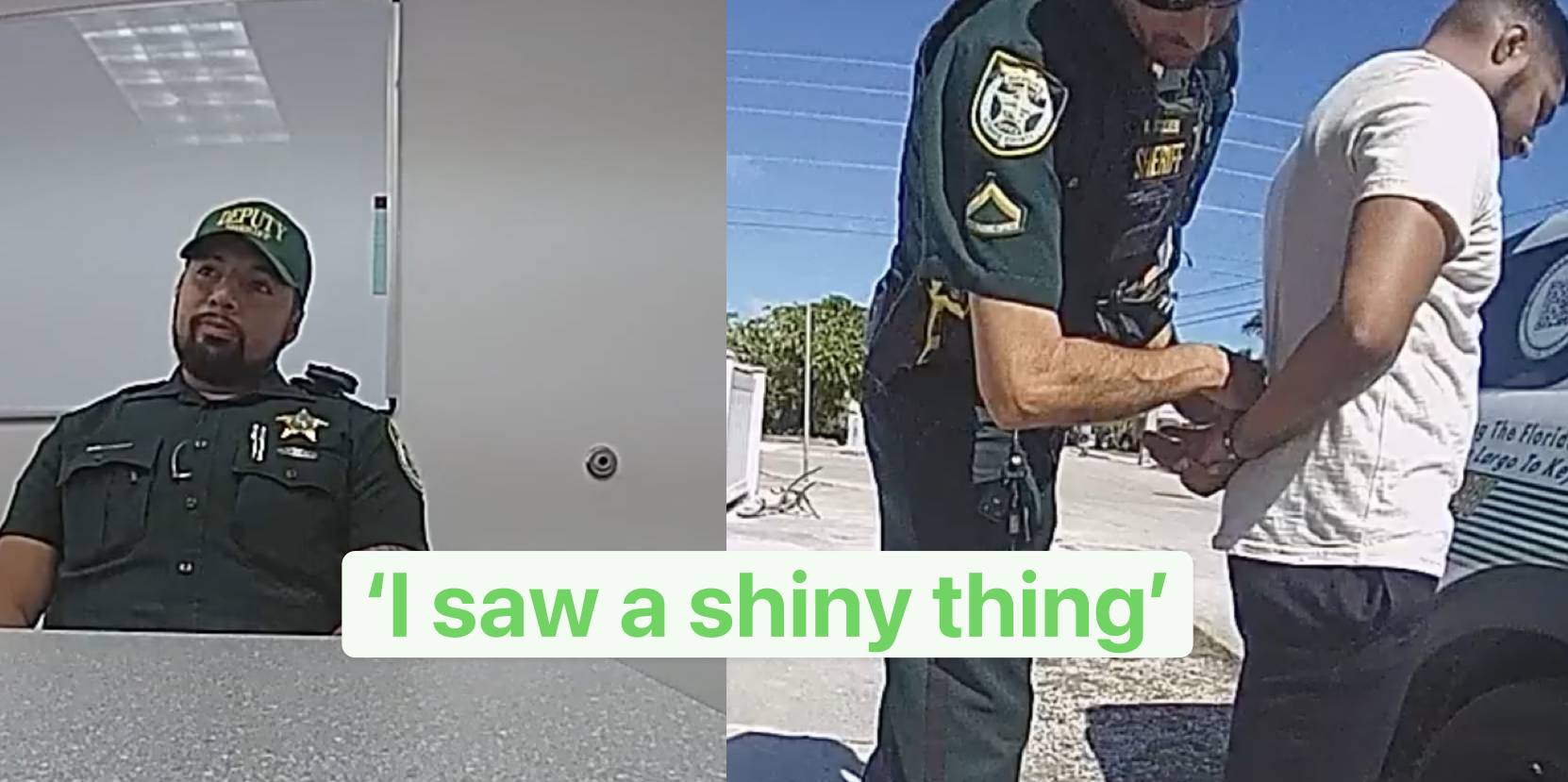 'I Saw a Shiny Thing': Cop Explains Why He Used License Plate Reader to Stalk Woman