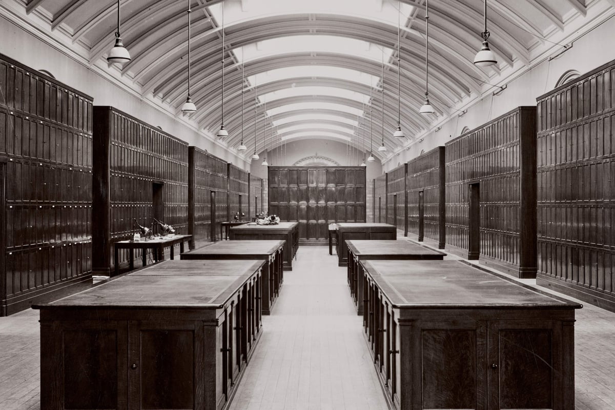 Natural History Museum to reopen hidden gallery closed since Second World War