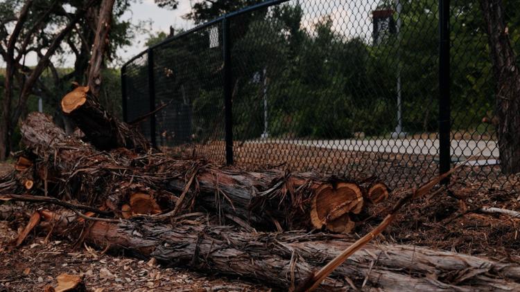Coyote dog park to officially reopen Friday after tornado damage