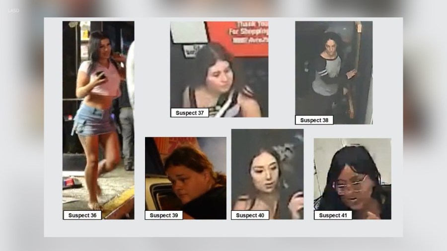 14 more suspects sought in 'mob-like' burglary of East L.A. AutoZone