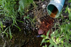 Seeping groundwater could mean landfills are leaking near Niagara Falls park, experts say