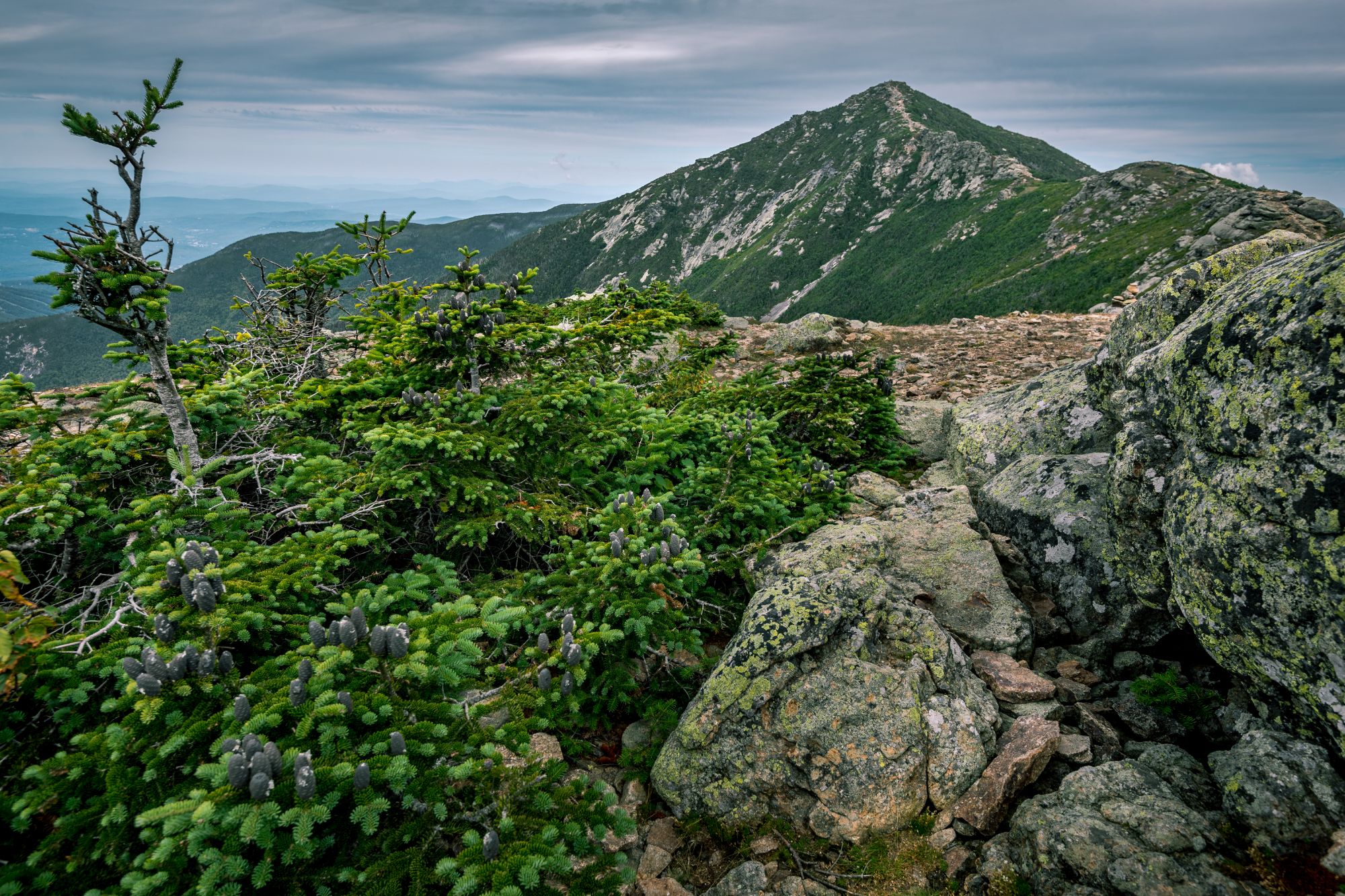Fines for being rescued? Hikers facing $1,000 charges for ‘lack of preparation’ after getting lost on trail