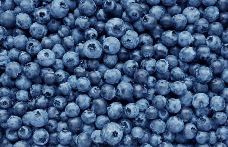 Frozen blueberries recall upgraded to highest level after E. coli reports