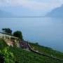 Lake Zurich sees water level hit record low amid drought