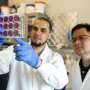 Too much RNA can starve cells of energy, study finds