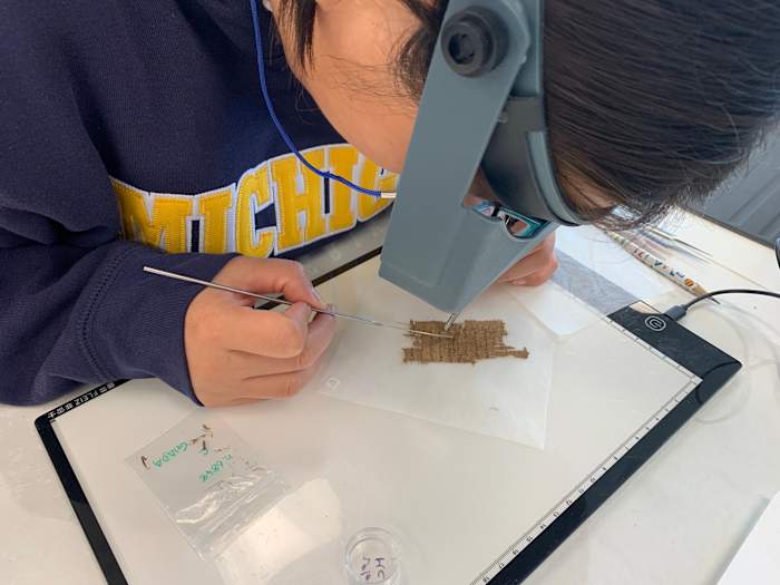 Inside one of the world's few crash courses in conserving and caring for ancient papyrus manuscripts