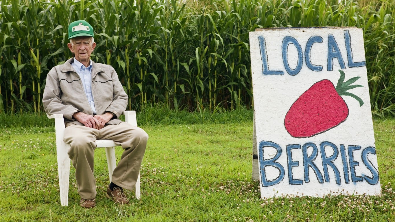 He Sold the Blueberry Farm With the Last Crop Still on the Bushes. Social Security Did Not Count It as One Last Harvest.