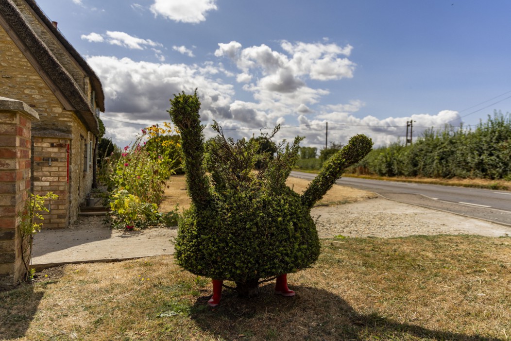 Fury as beloved Peppa Pig-shaped bush is ‘beheaded’ with saw as cops hunt cruel vandals