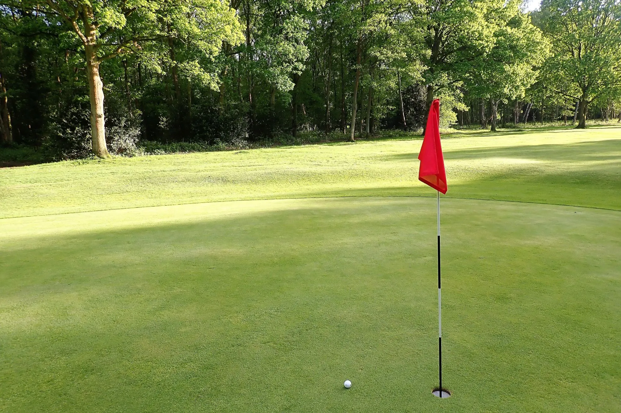 Another English golf course could be closed down and DEMOLISHED after more than 100 years