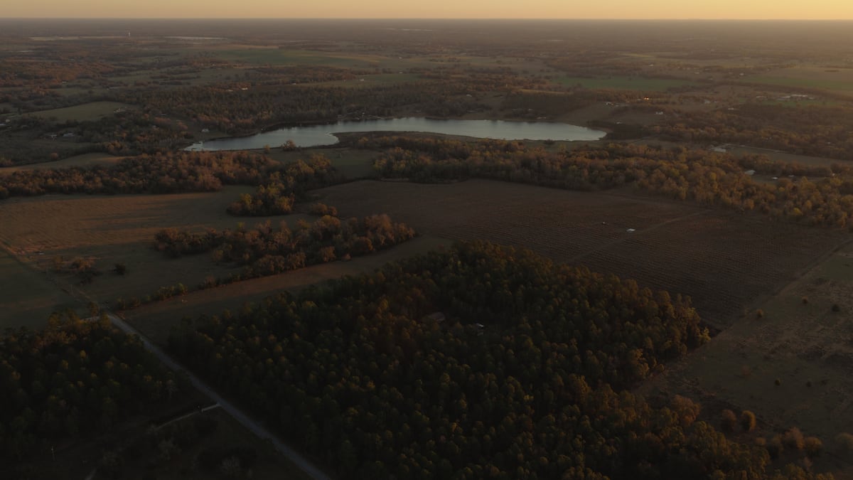 Oxford Exchange owners want to build a 550-acre Pasco wellness resort