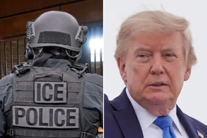 Across the spectrum, Americans want accountability on immigration solutions