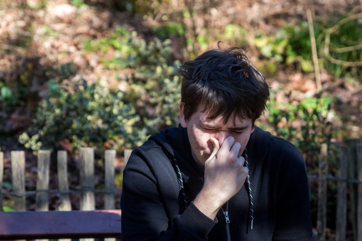 This is where pollen is forecast to surge in the US this fall