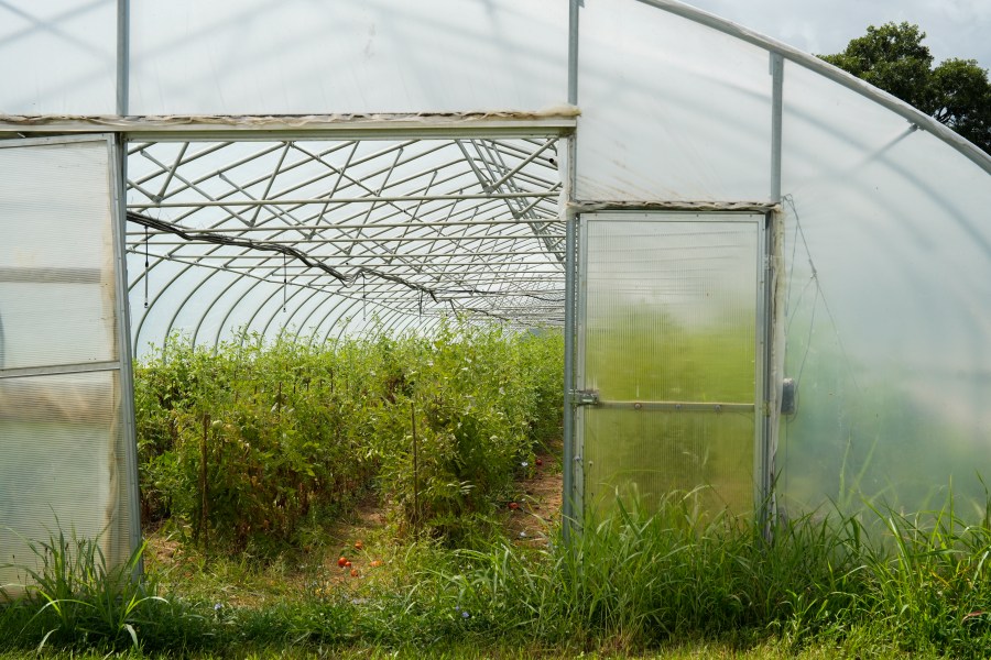 Urban farm for students opening in Raleigh