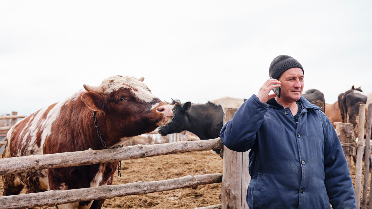 Tyson cuts 3,200 jobs and closes 3 beef plants as U.S. cattle herds shrink to their lowest level since the 1950s