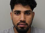 Two illegal immigrants raped woman at knifepoint while she was star gazing in a park on first date with another man