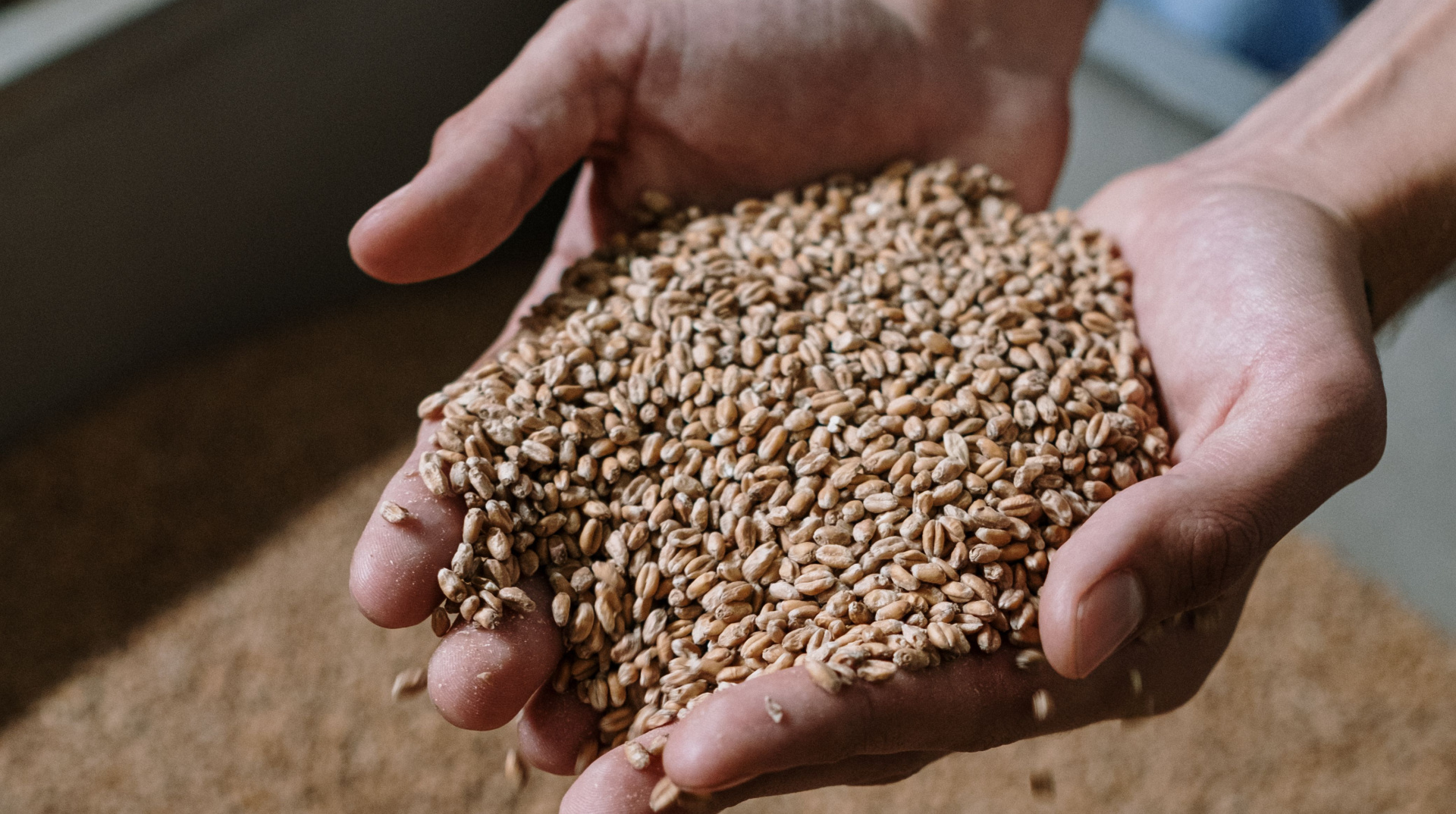 EU responds to Ukraine's request for €220 million for farmers amid port blockade