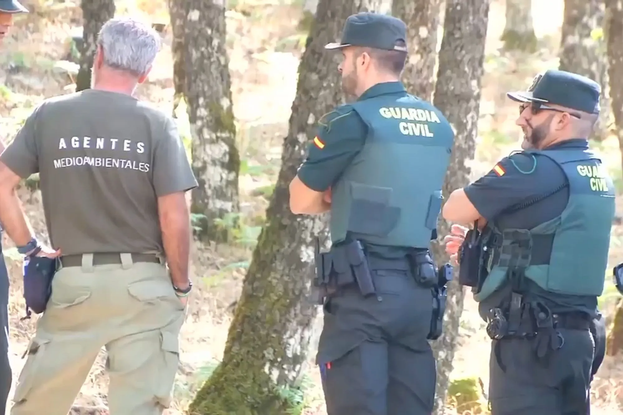 Huge search launched after lion ‘spotted’ in Spain as helicopters and drones take to sky to find killer beast