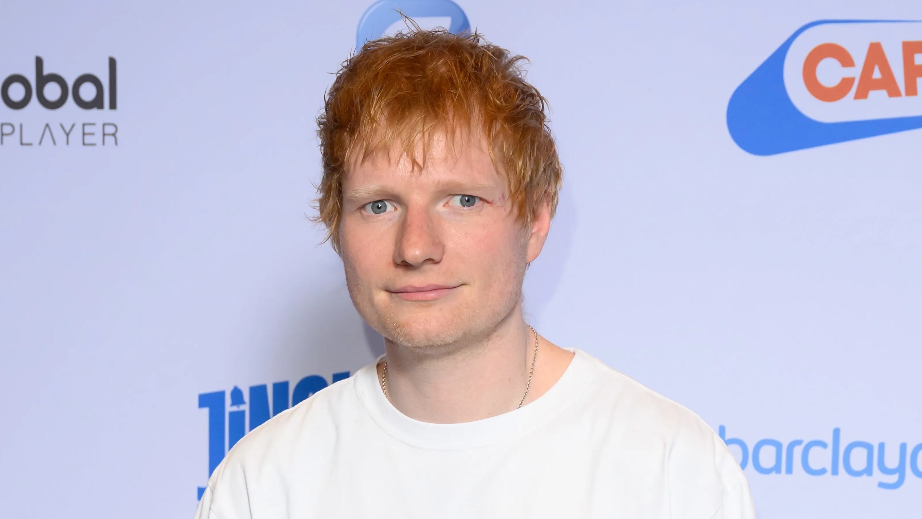 Ed Sheeran in toilet row with council planning bosses after waste pipe was illegally installed at £3.3m listed mansion