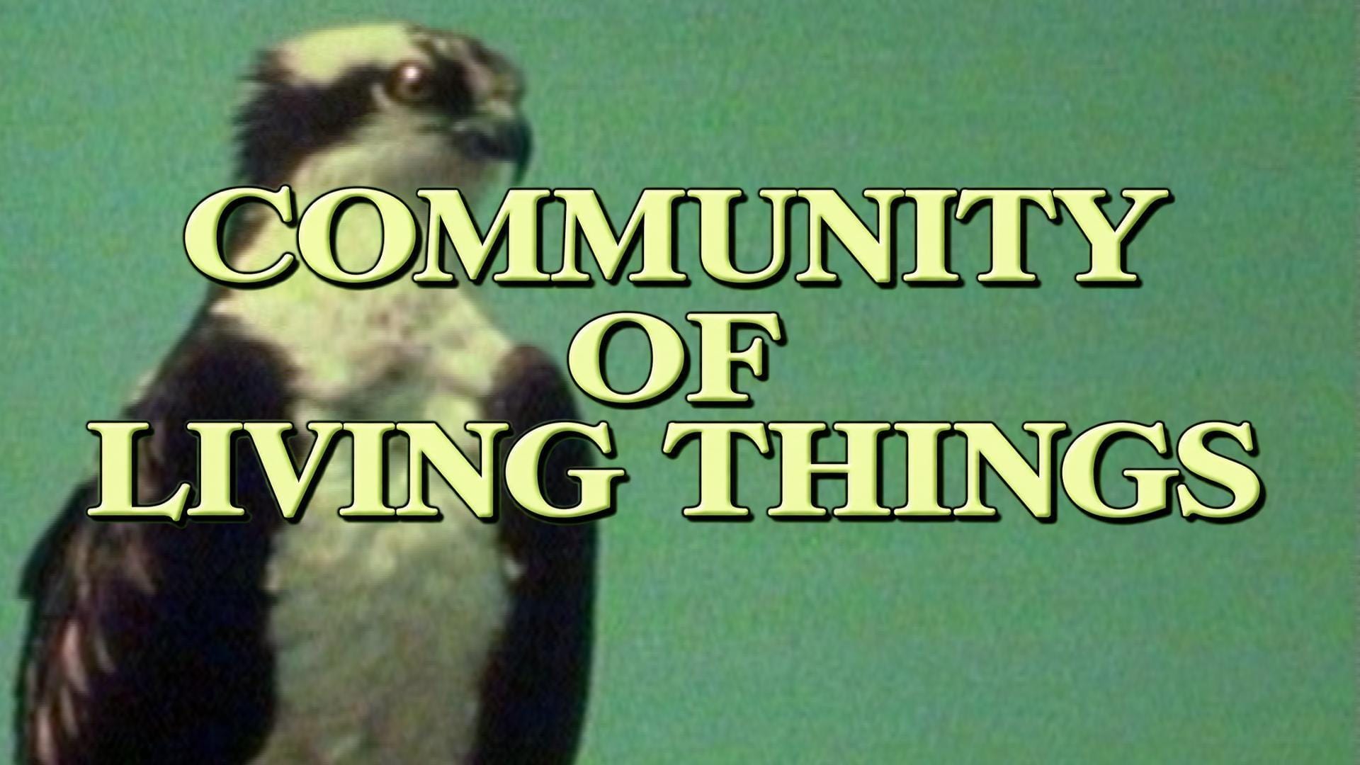 Community of Living Things Ep 115