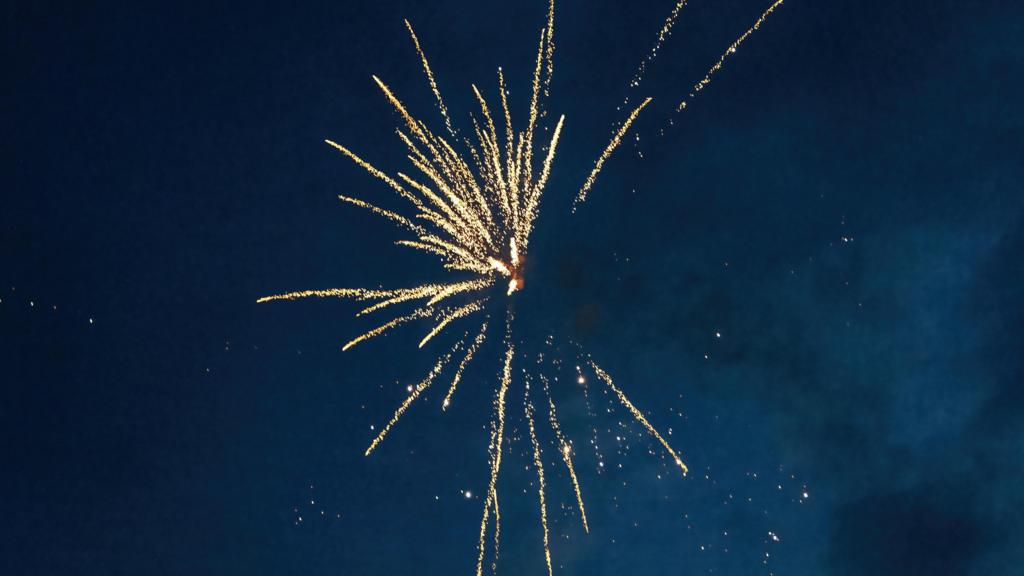Cricketers banned over 'irresponsible' fireworks