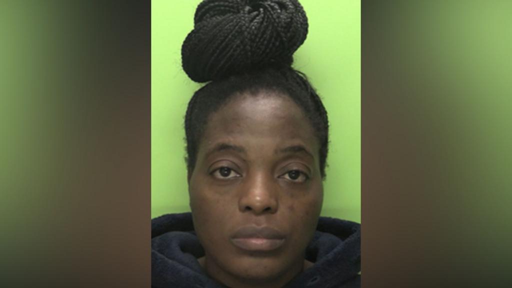 Driver 'unlikely' to have suffered seizure in fatal crash