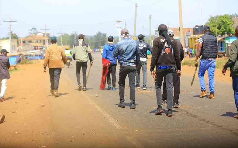 Kenyans on their own as state agencies fail to curb political violence