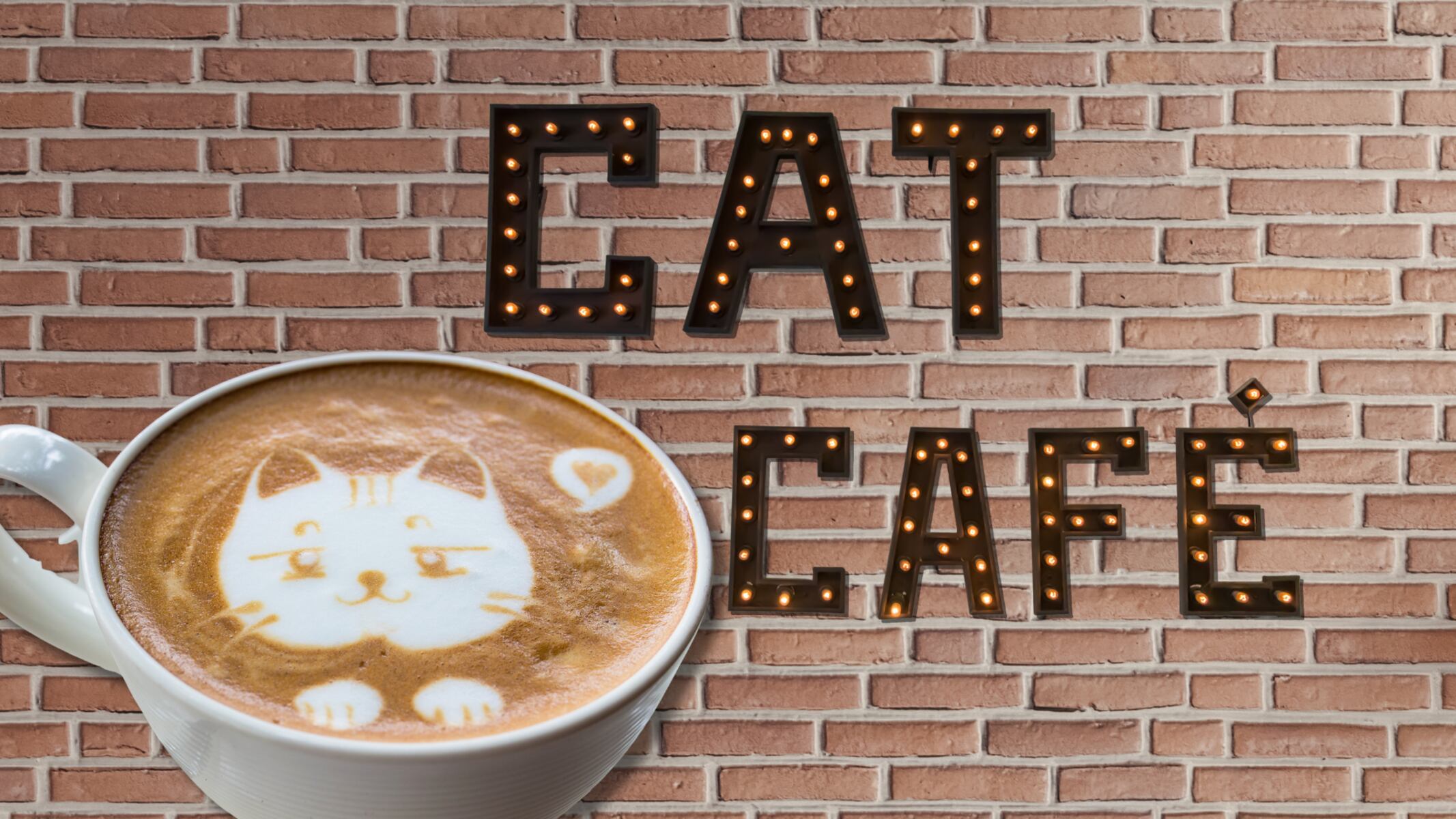 Your next coffee run could come with cats. A new N.J. cat cafe is opening with rescue cats and lounge visits.