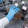 Small doses of caustic soda increase biogas production from banana waste