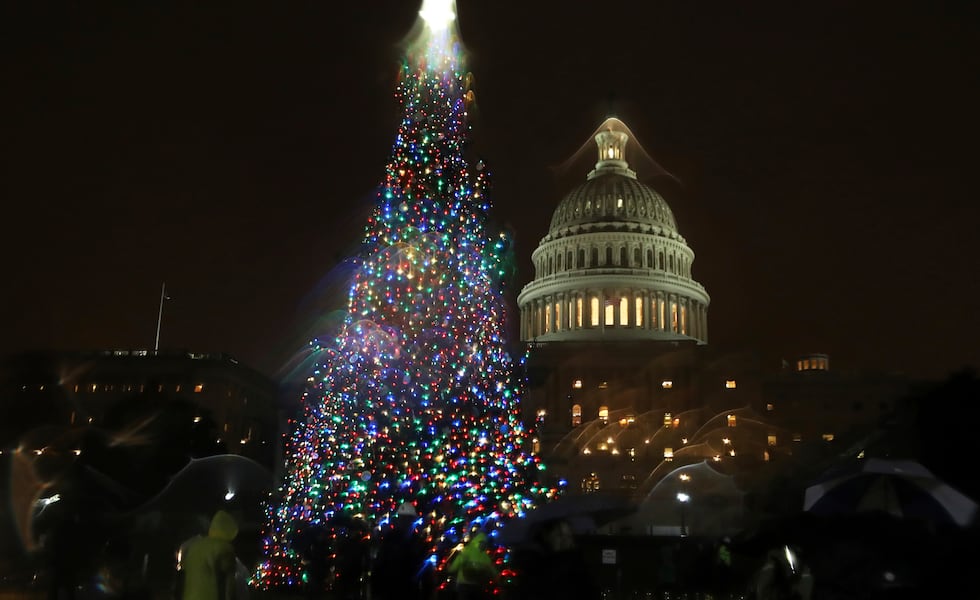 Why a tree in Idaho will be a ‘BIG gift’ to the nation this year