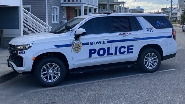 Police investigate domestic shooting in Bowie
