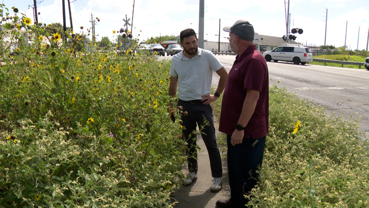 Overgrown weeds raise safety concerns near Houston middle school