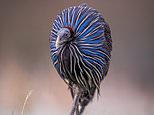 Captivating! The best pics of nature - as taken in British zoos, aquariums and reserves