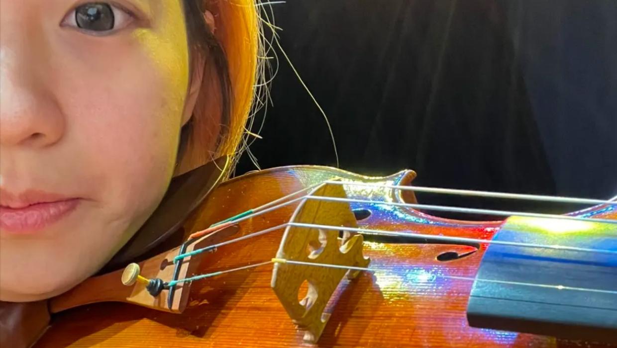 Police hunt for missing $37,000 violin left on bus