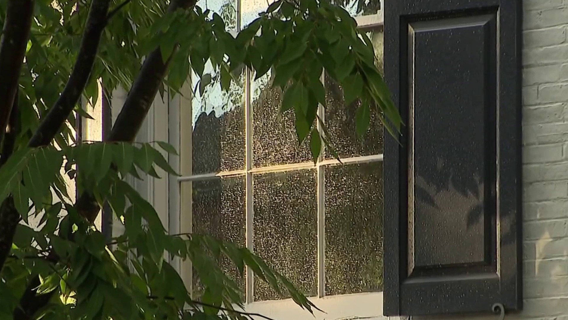 DC home invasion, attempted sex assault suspect also accused of trying to get in White House