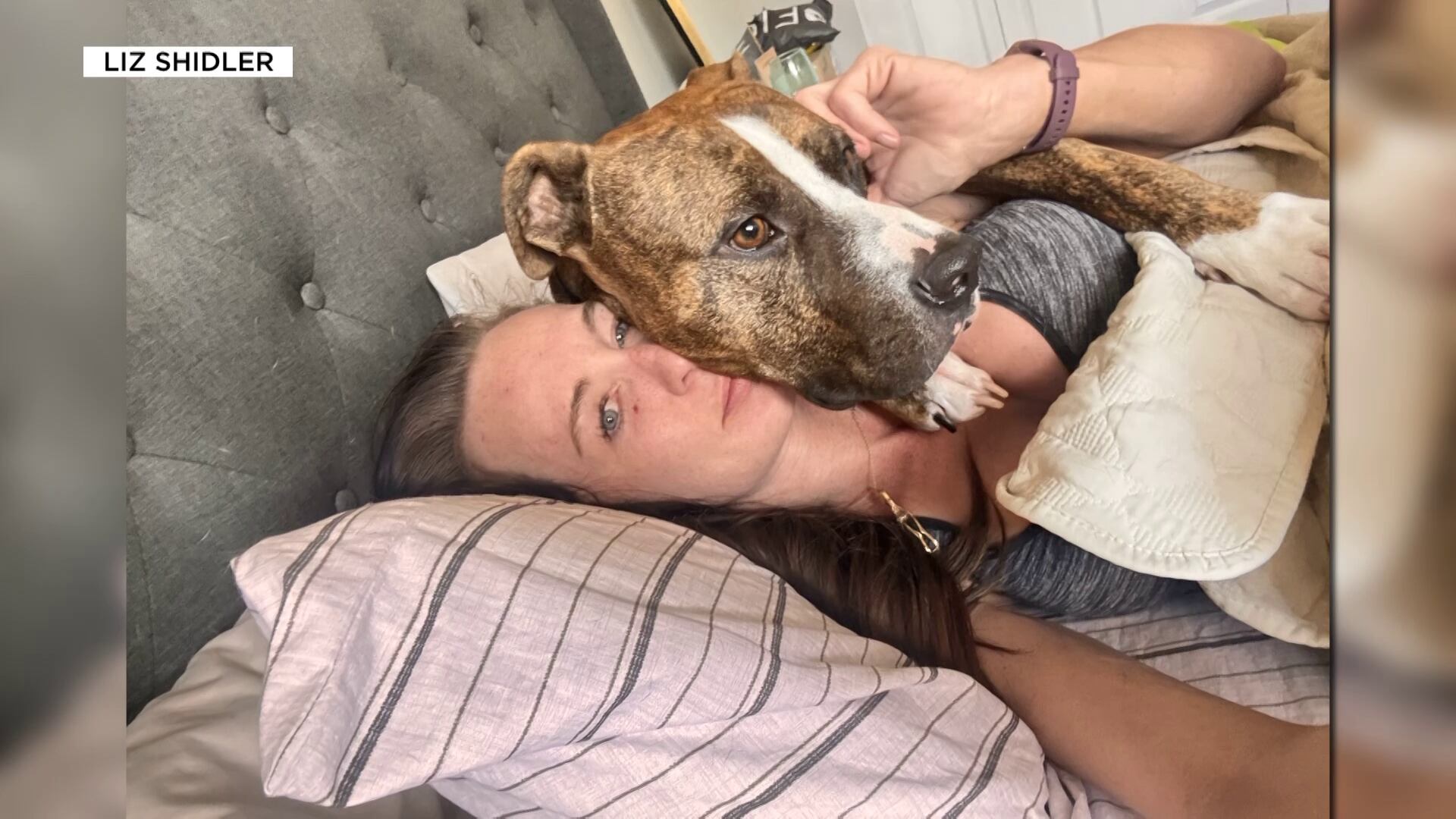Woman nearly loses arm in attack by foster dog she saved from euthanasia