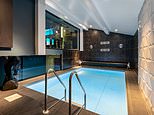 The perfect home for animal lovers? Unique Yorkshire pad has horse paddock and heated dog kennel