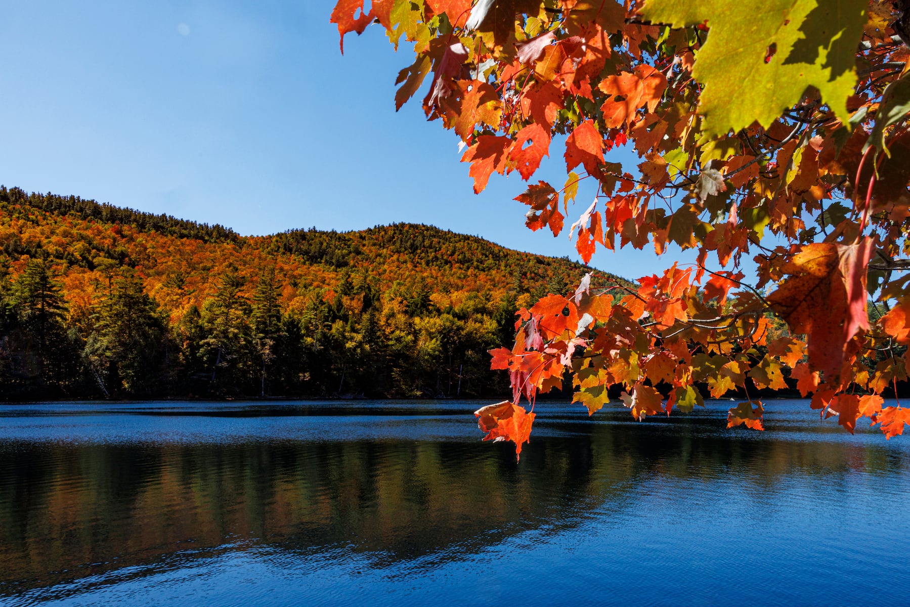 Fall foliage 2026: When do leaves start changing colors?