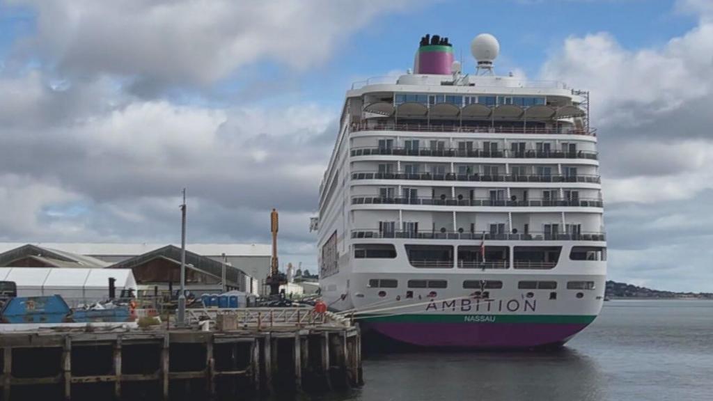 Search launched for man feared to have fallen overboard from cruise