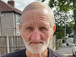 Driver knocked down and killed pensioner, 80, after her view was blocked by stuffed toys dangling from her rear-view mirror