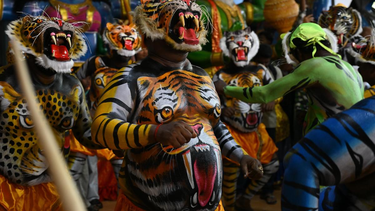 Amid row, Keralam increases financial assistance to Pulikali teams