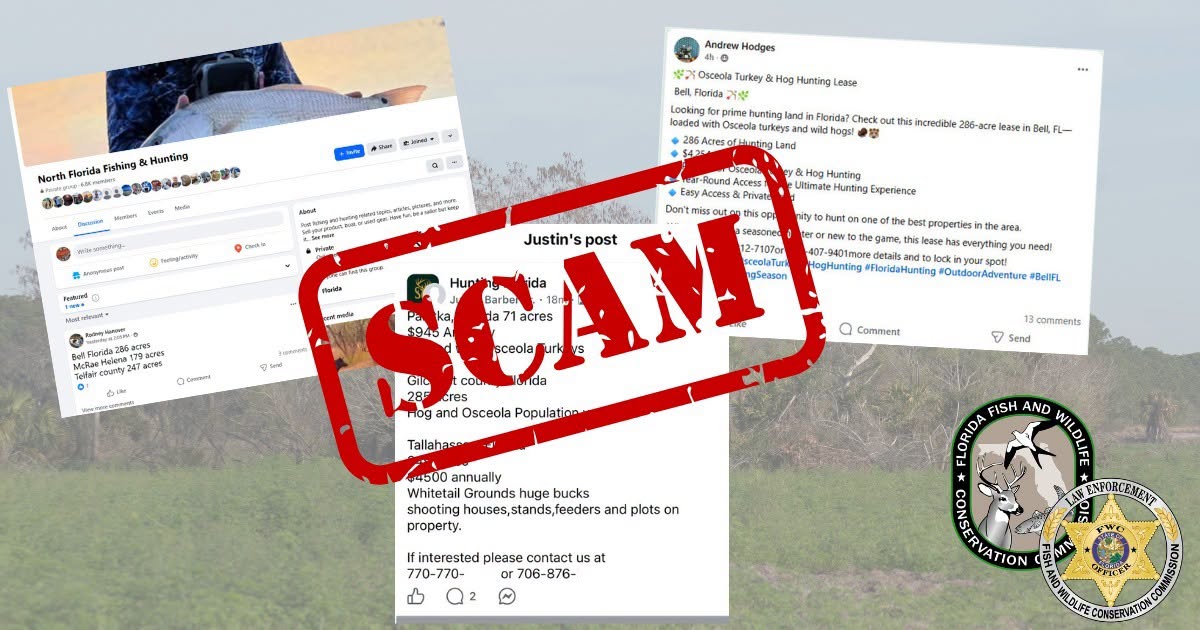 Florida hunters targeted by Georgia inmate using smuggled cell phone for fake lease scheme: FWC