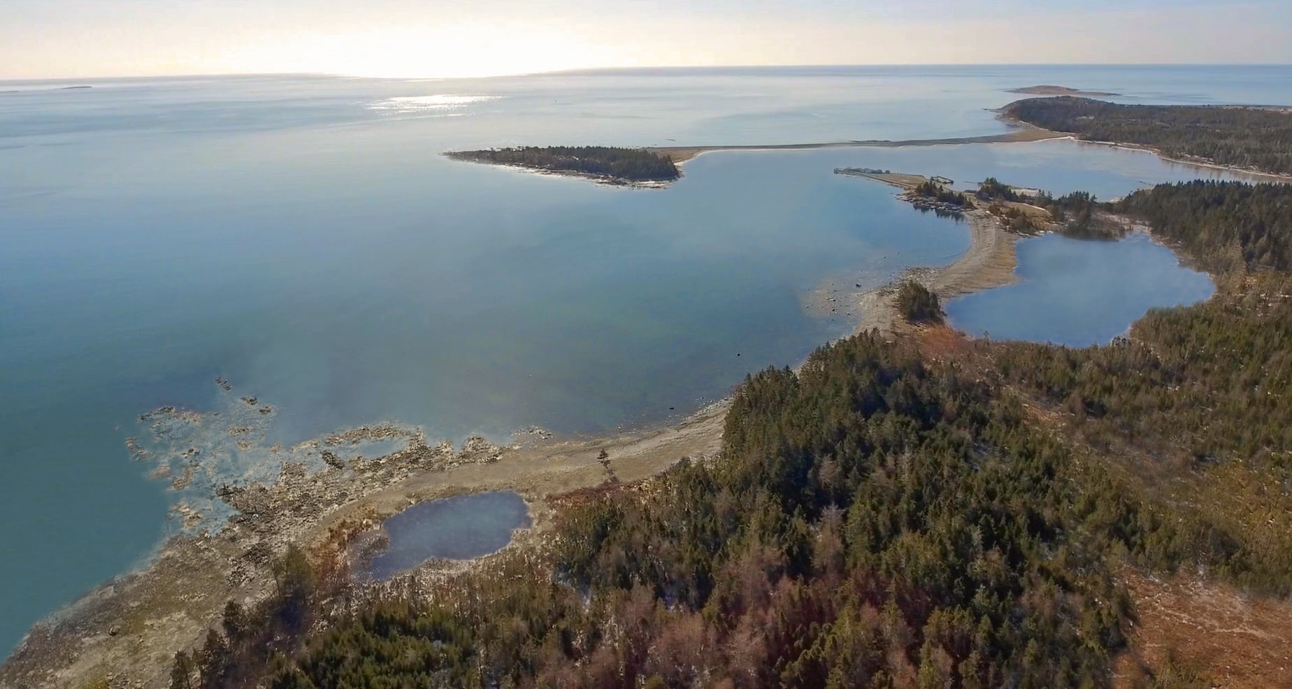 Crown lease signed for Nova Scotia whale refuge